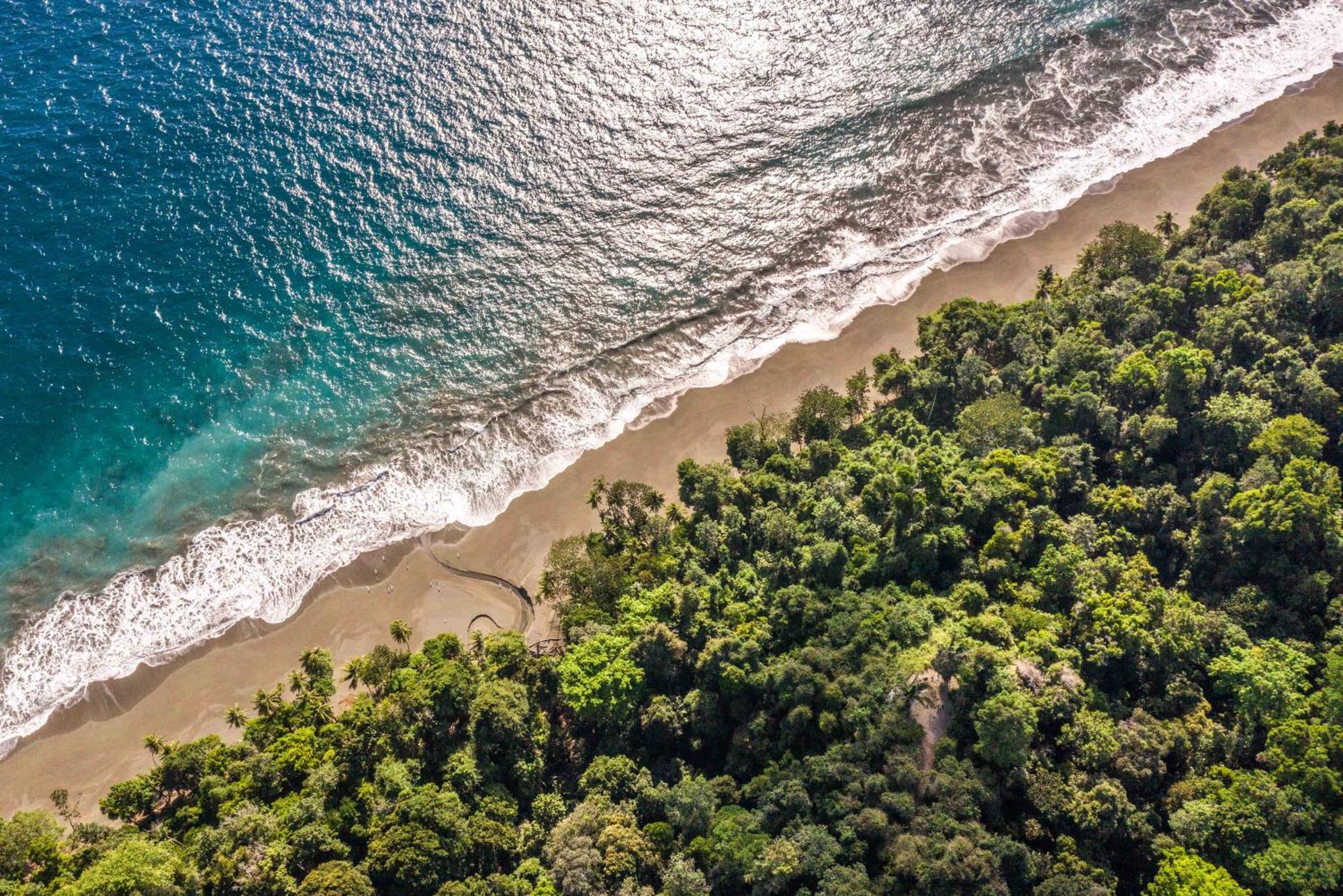 El Remanso Rainforest Lodge Puerto Jiménez Exteriér fotografie