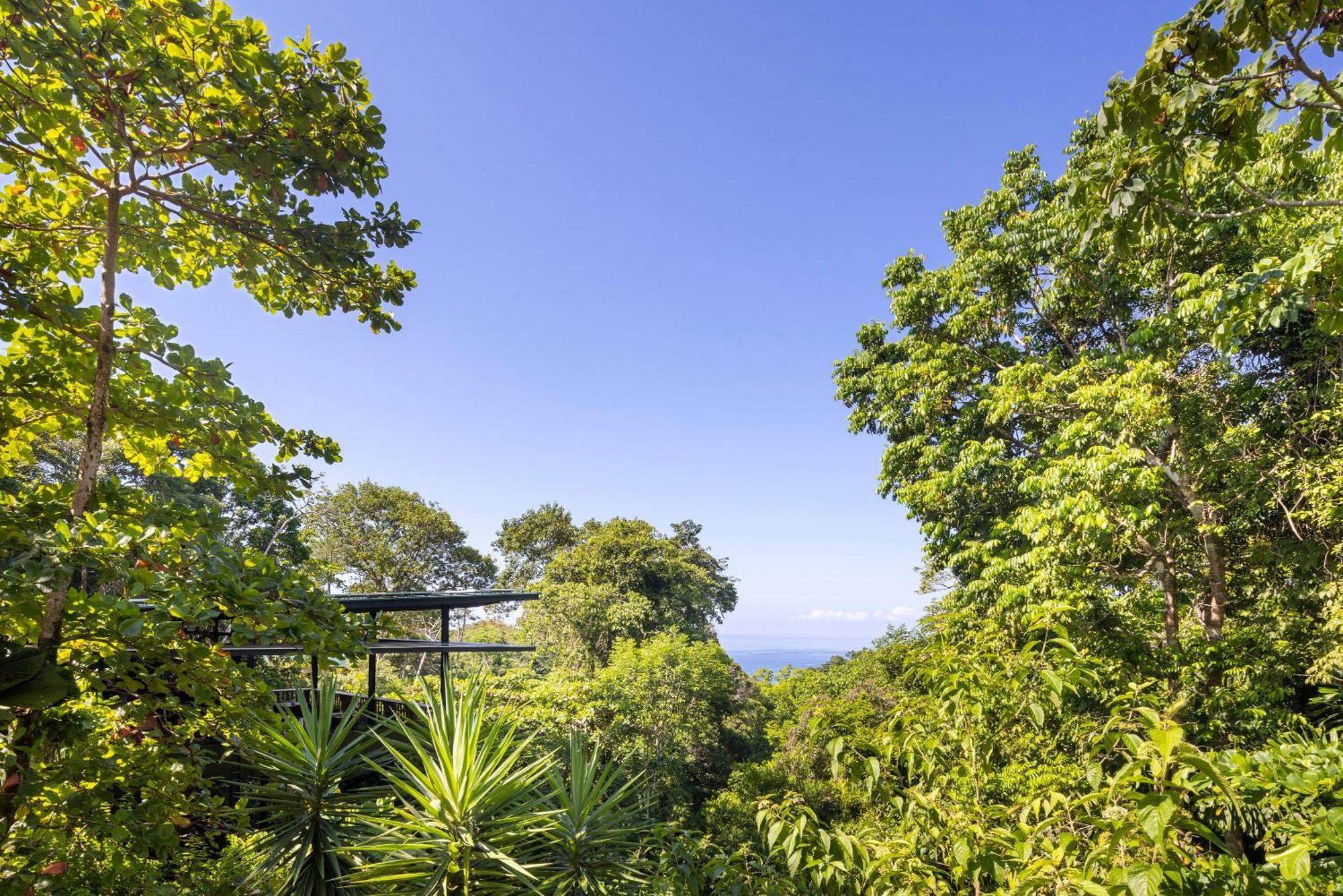 El Remanso Rainforest Lodge Puerto Jiménez Exteriér fotografie