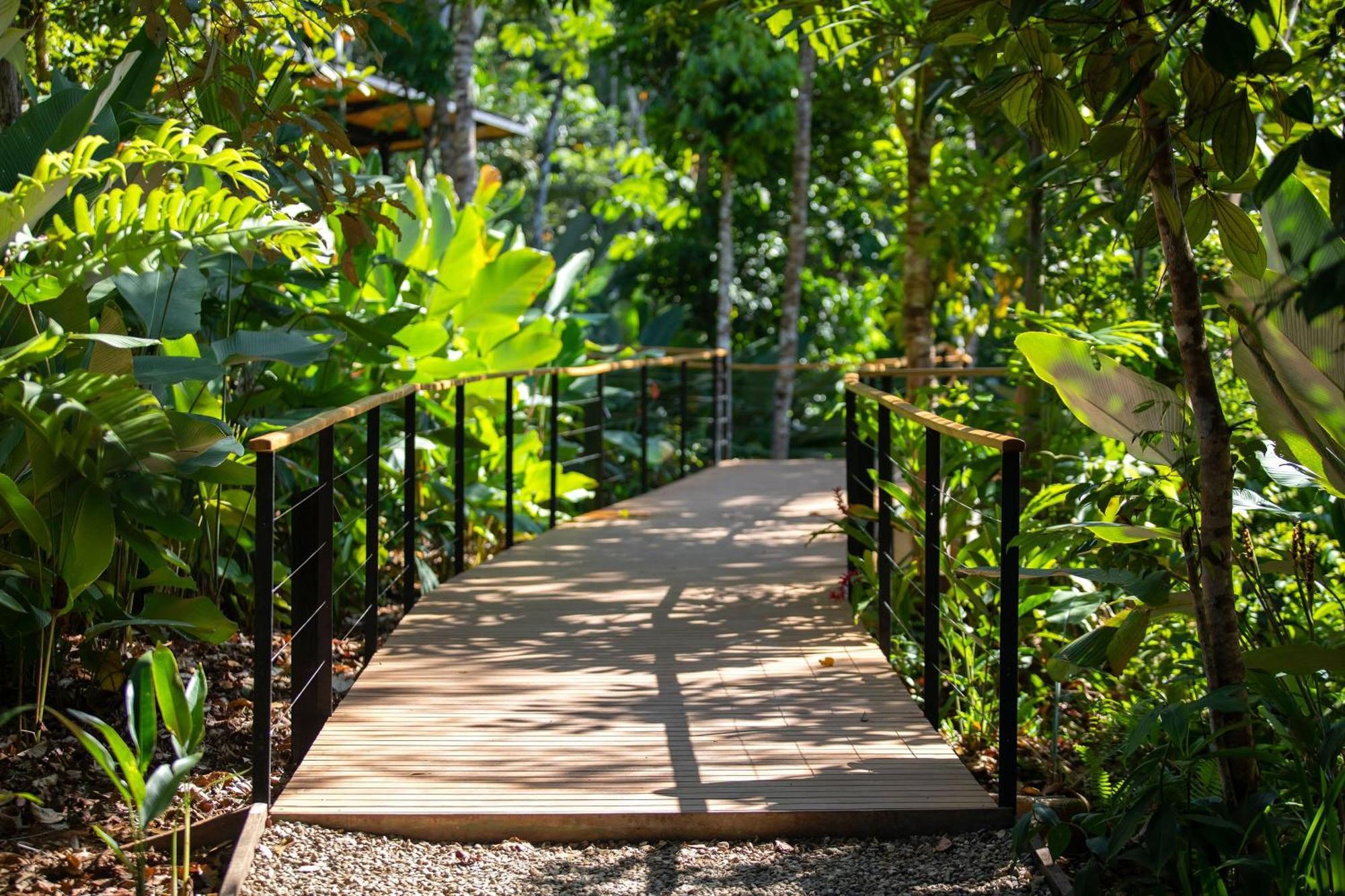 El Remanso Rainforest Lodge Puerto Jiménez Exteriér fotografie