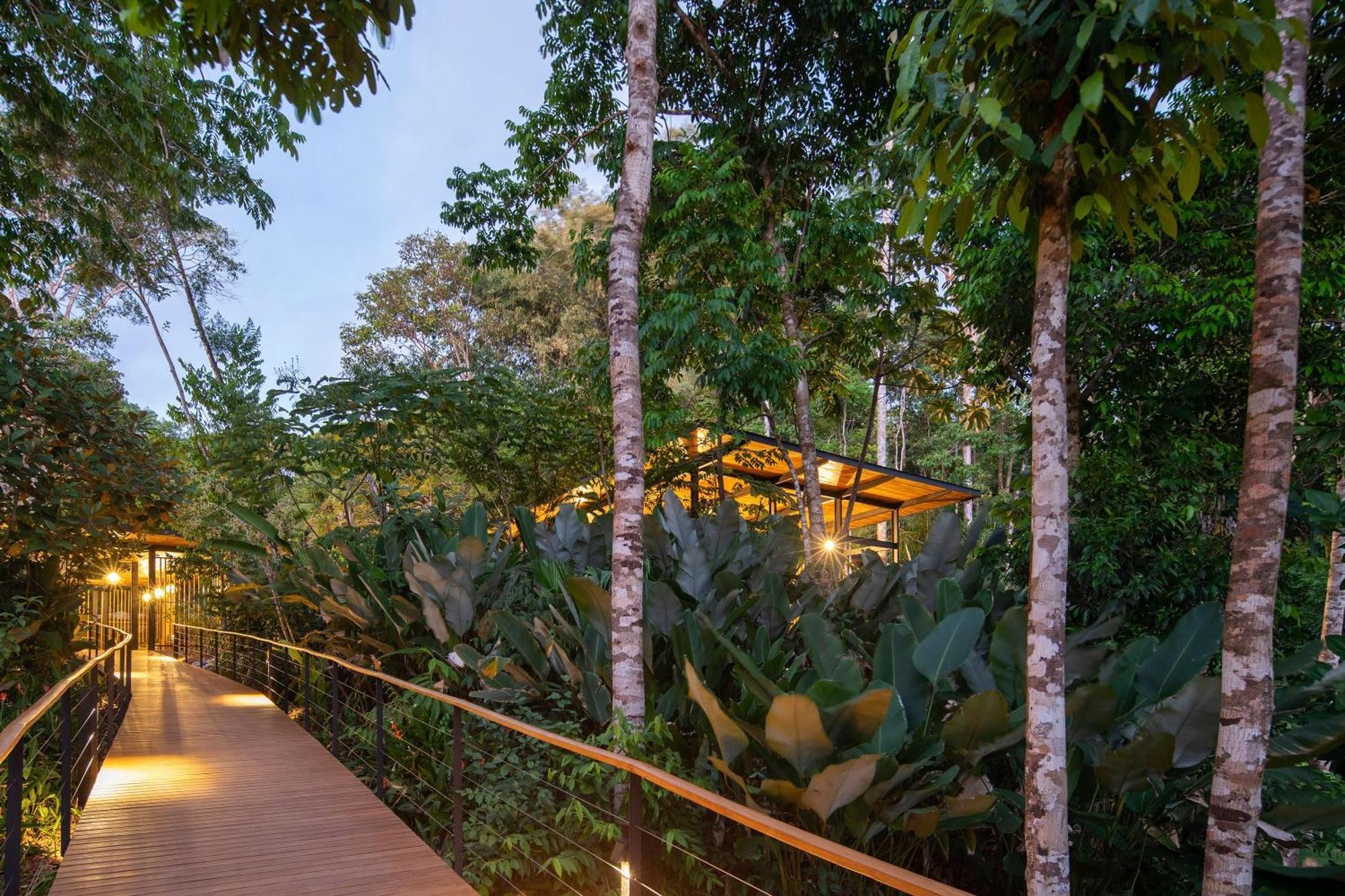 El Remanso Rainforest Lodge Puerto Jiménez Exteriér fotografie