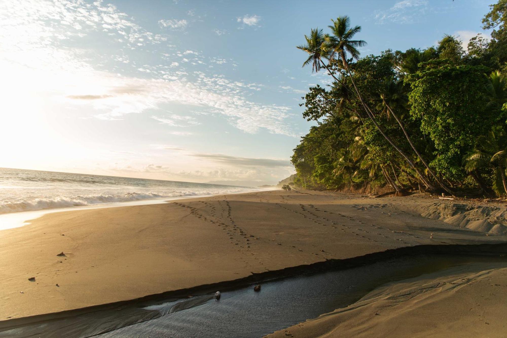 El Remanso Rainforest Lodge Puerto Jiménez Exteriér fotografie