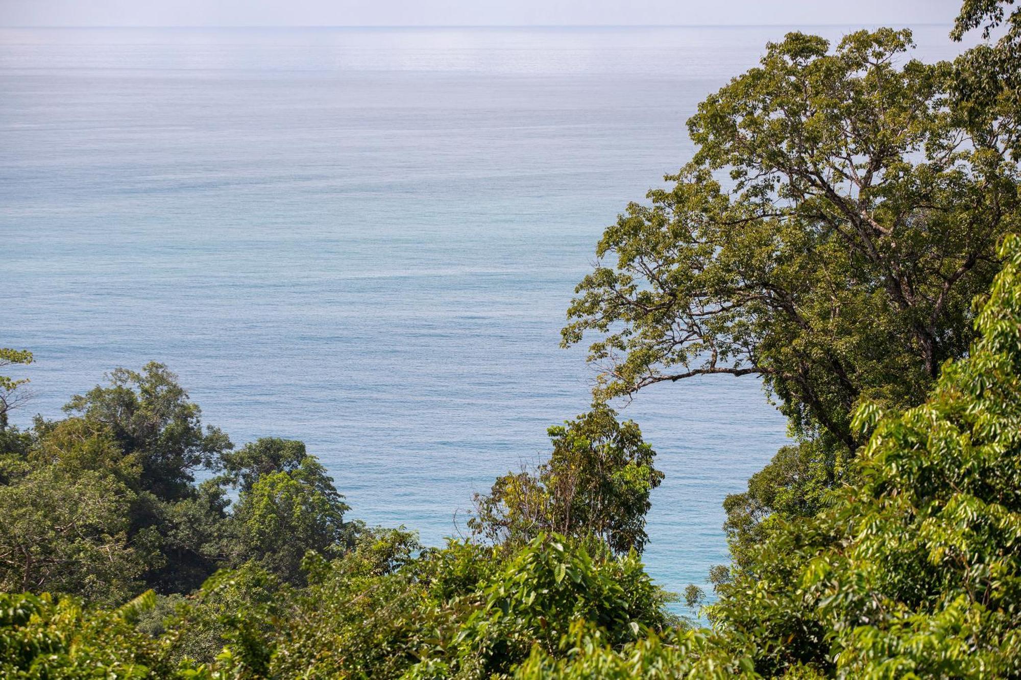 El Remanso Rainforest Lodge Puerto Jiménez Exteriér fotografie
