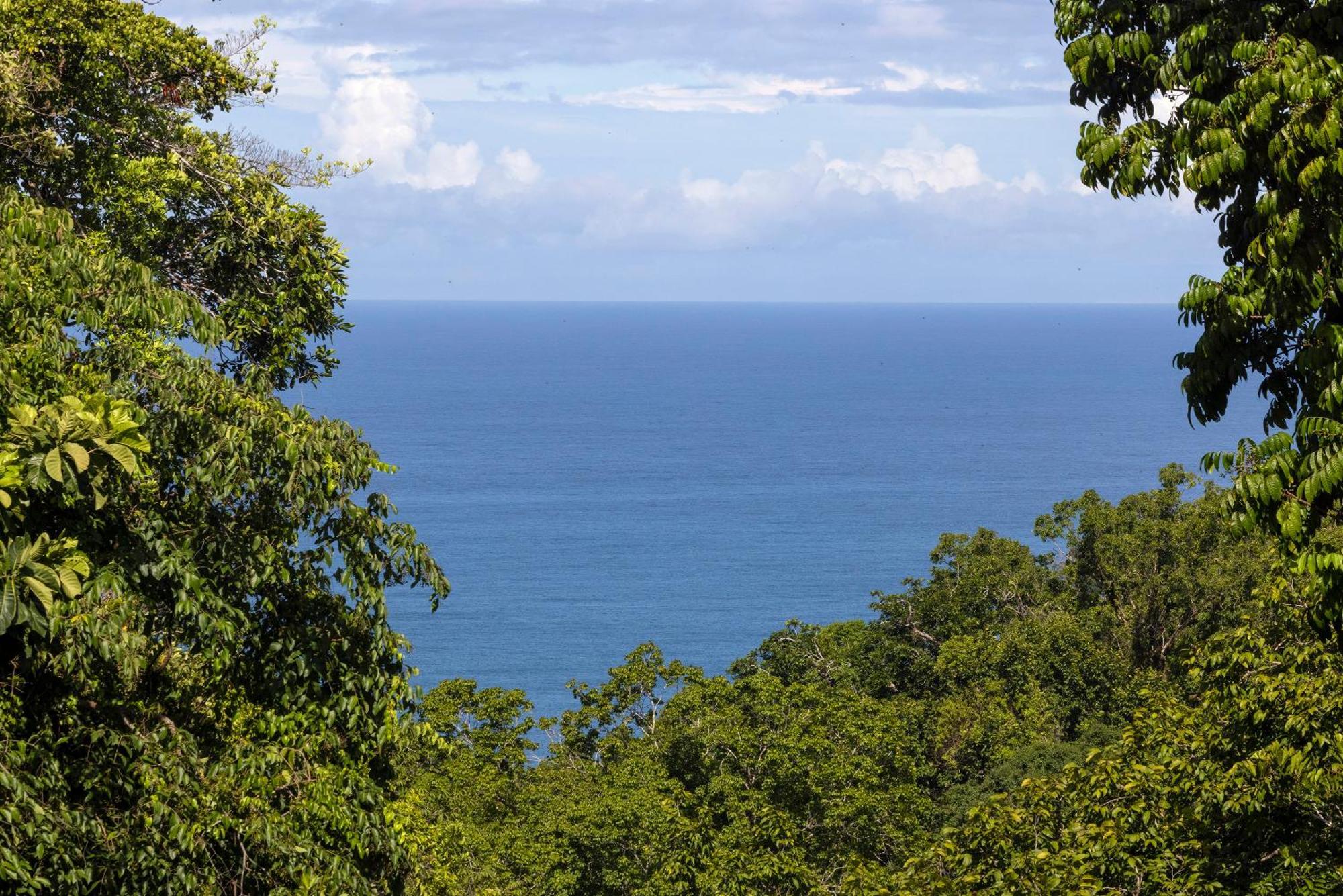 El Remanso Rainforest Lodge Puerto Jiménez Exteriér fotografie